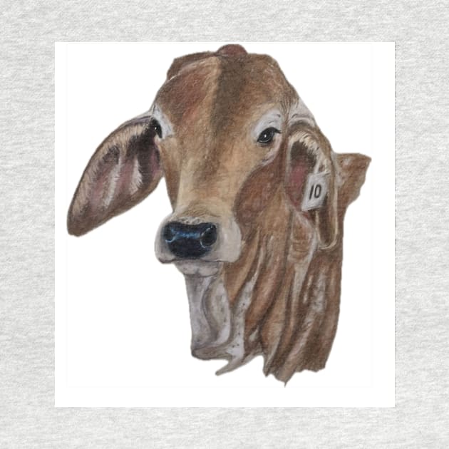 Brahman Calf by Bill Cameron Fine Art